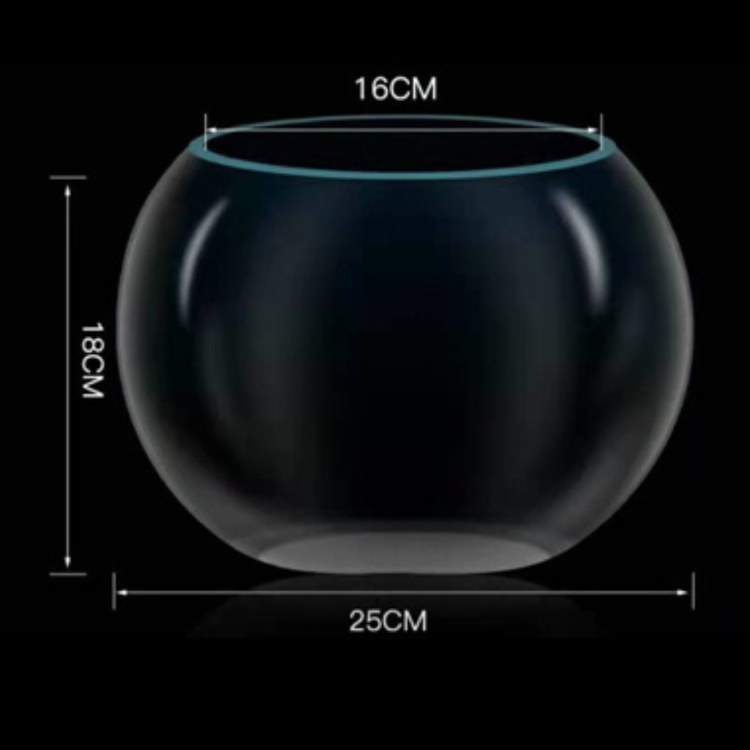 Pecera de 25cm