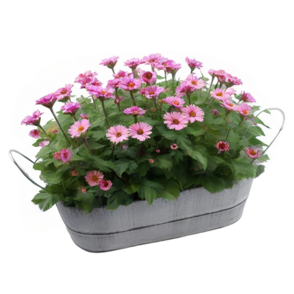 Macetero de Fierro 15N284