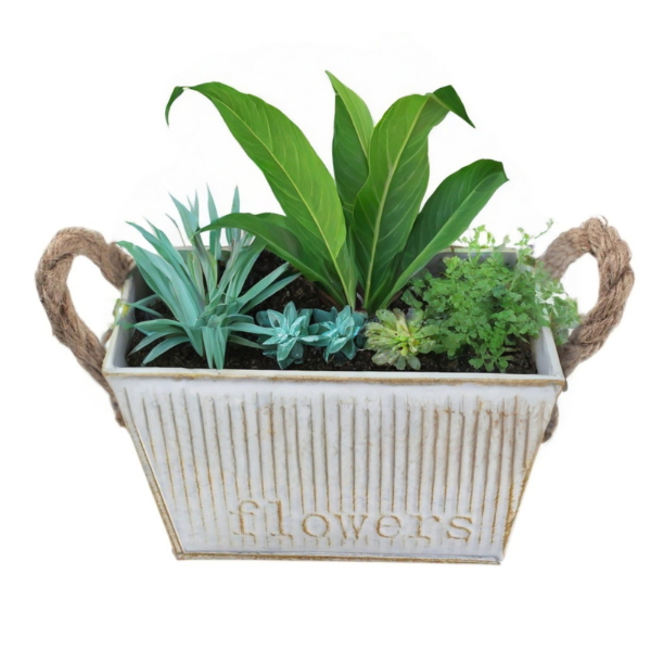 Macetero de Fierro 15N508