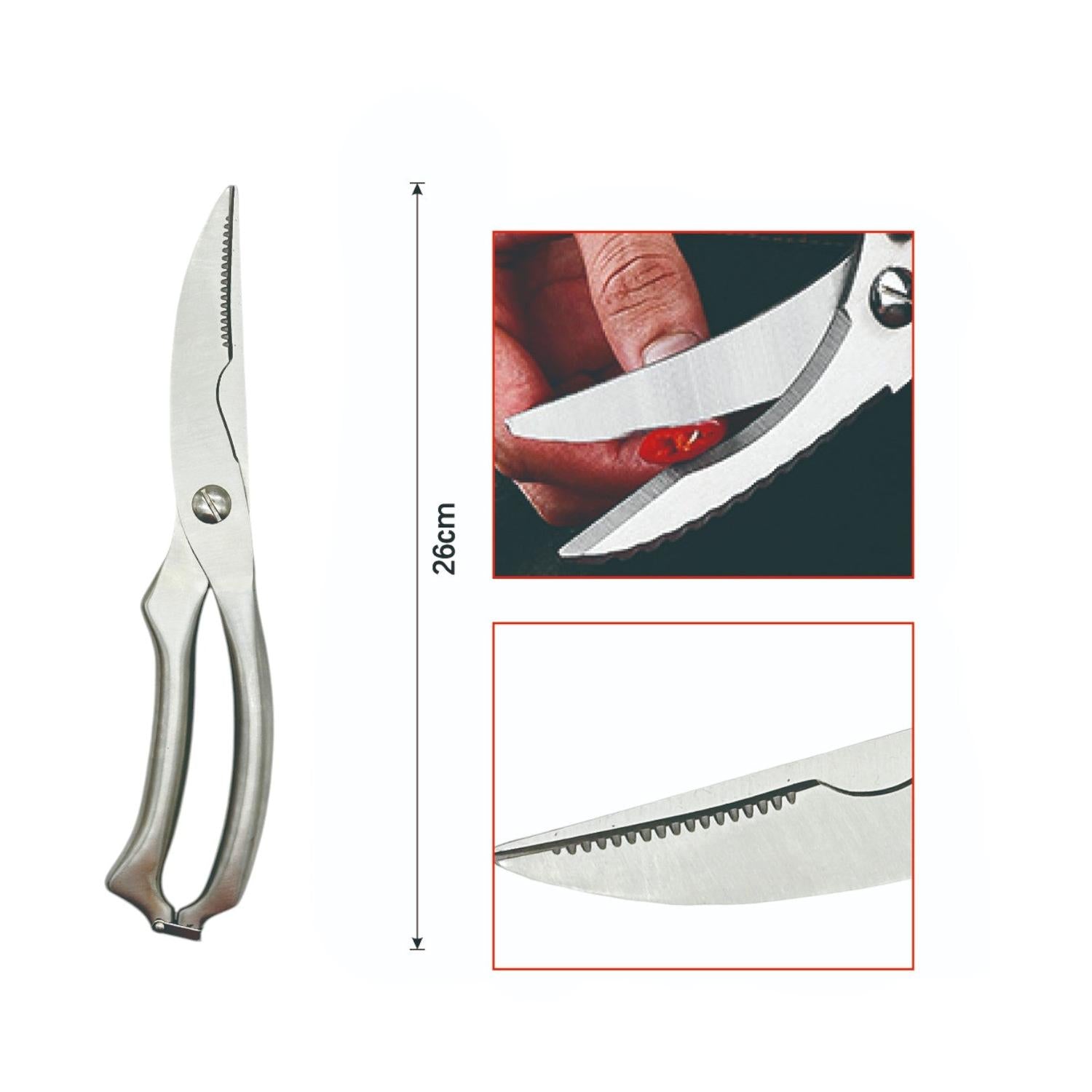 jpg_1500x1500_62705217