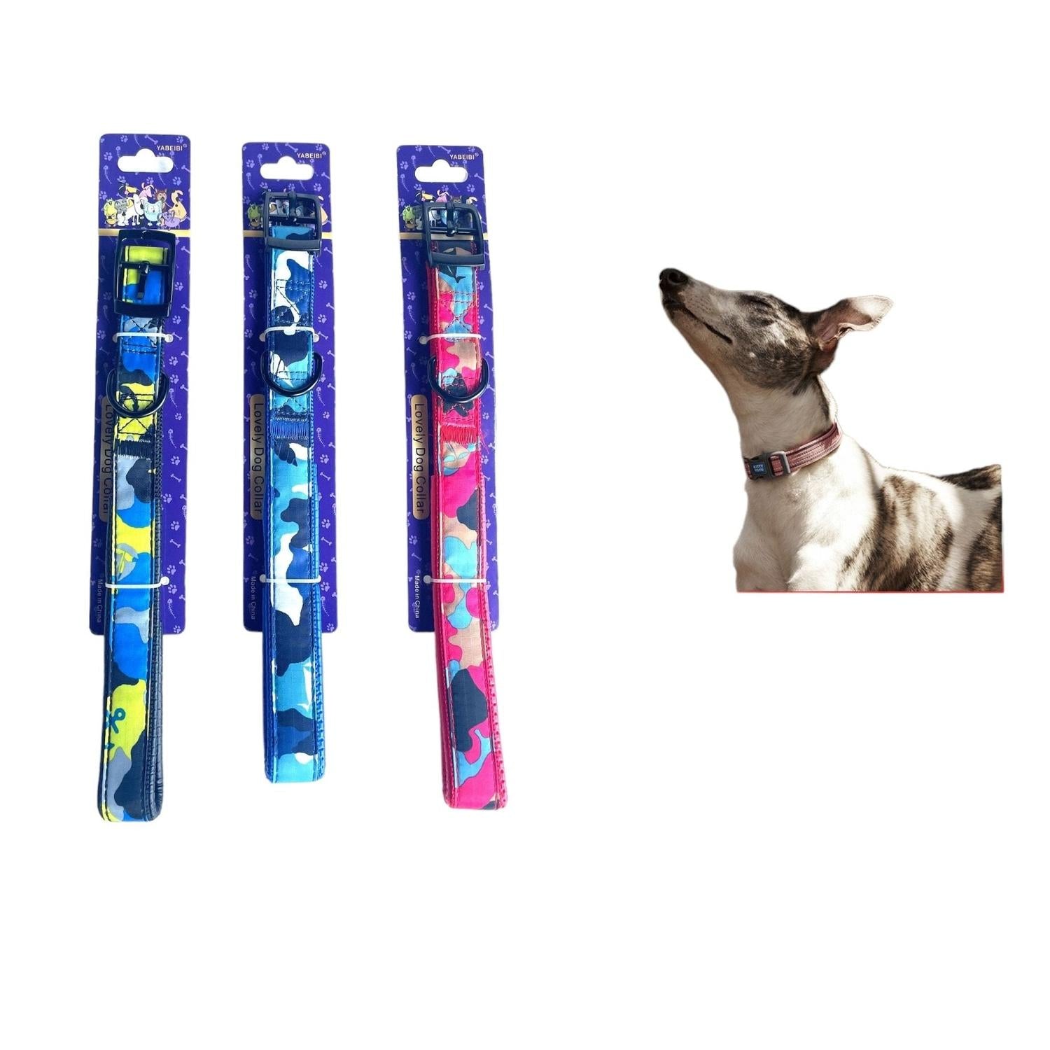 Collar Con Hebilla De Aleaci¨®n Colorida 2.5