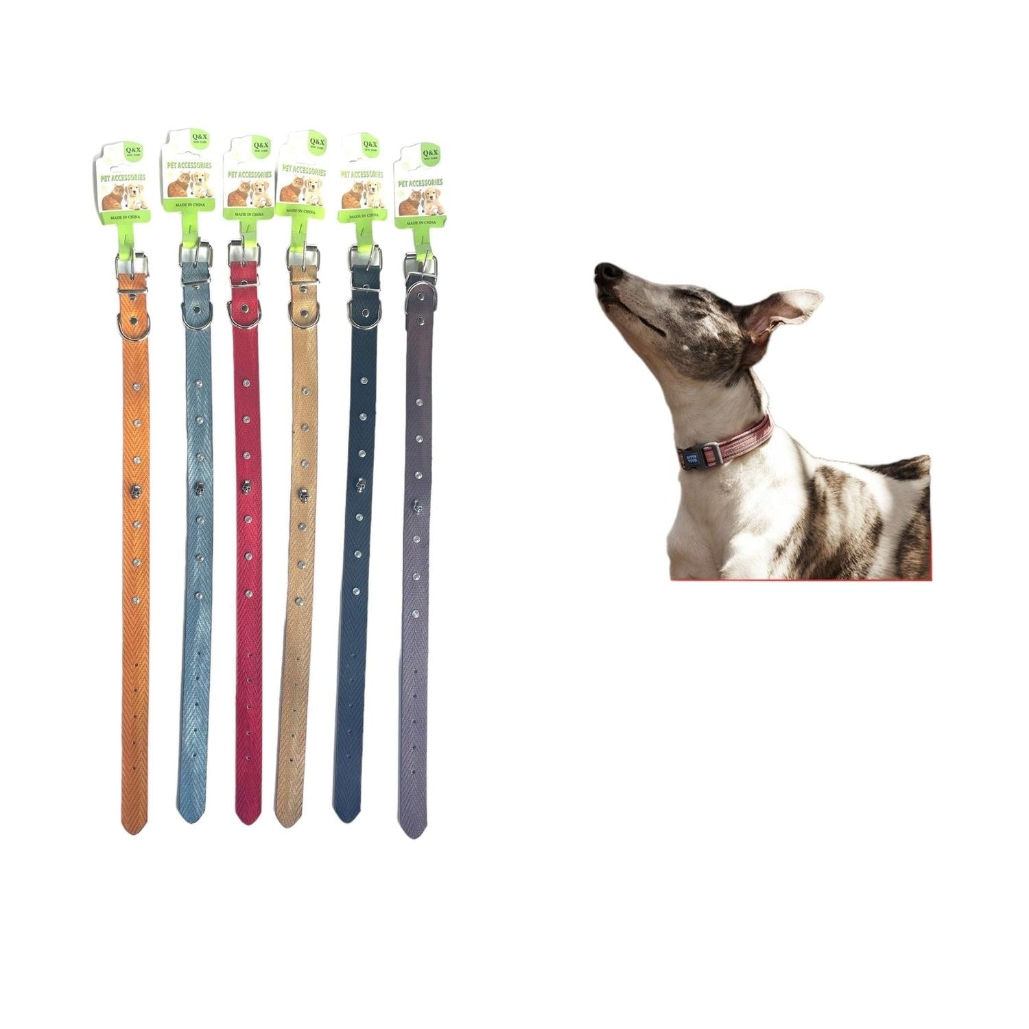 Correa Calavera Para Perros Y Gatos 2.5