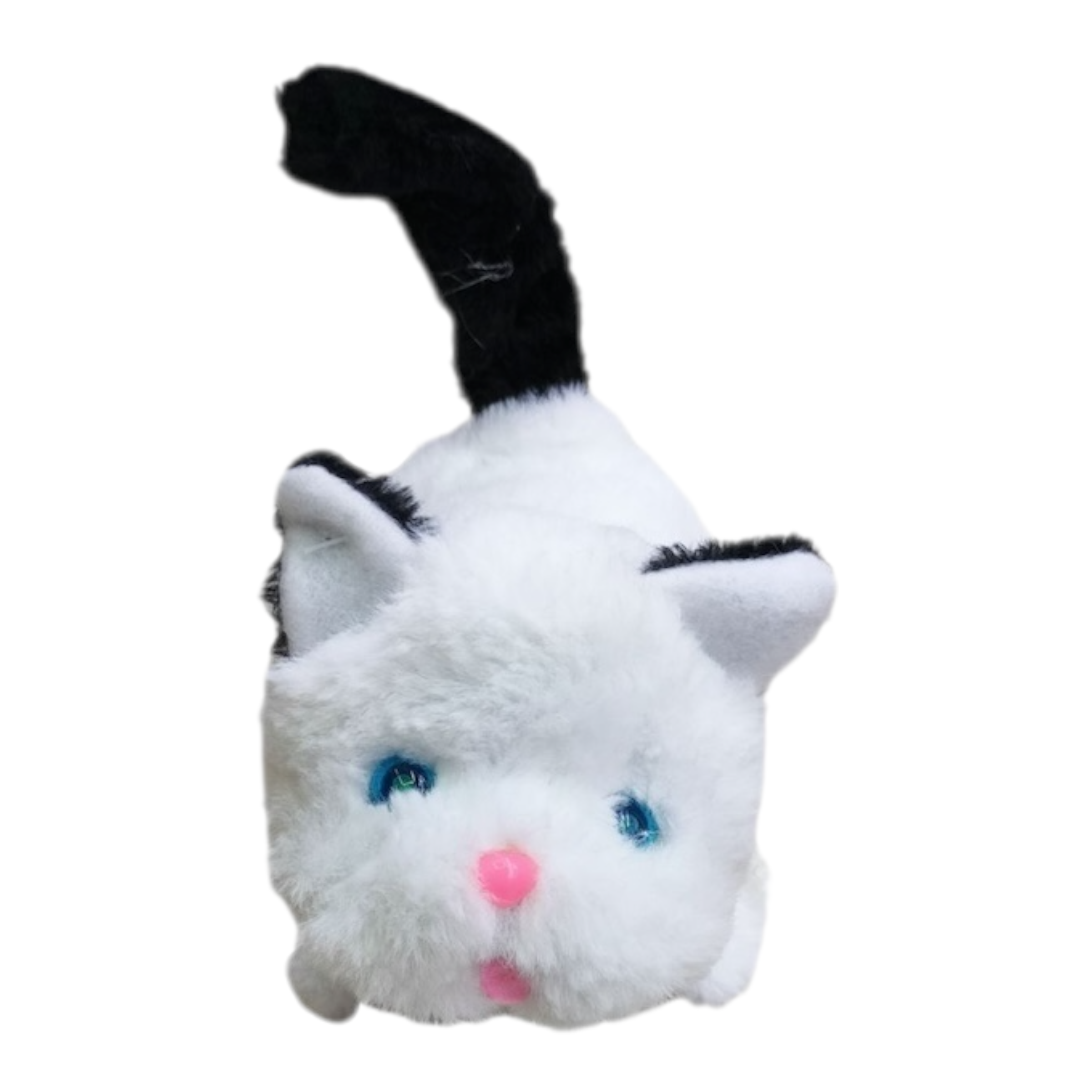 Gato peludo — Musical