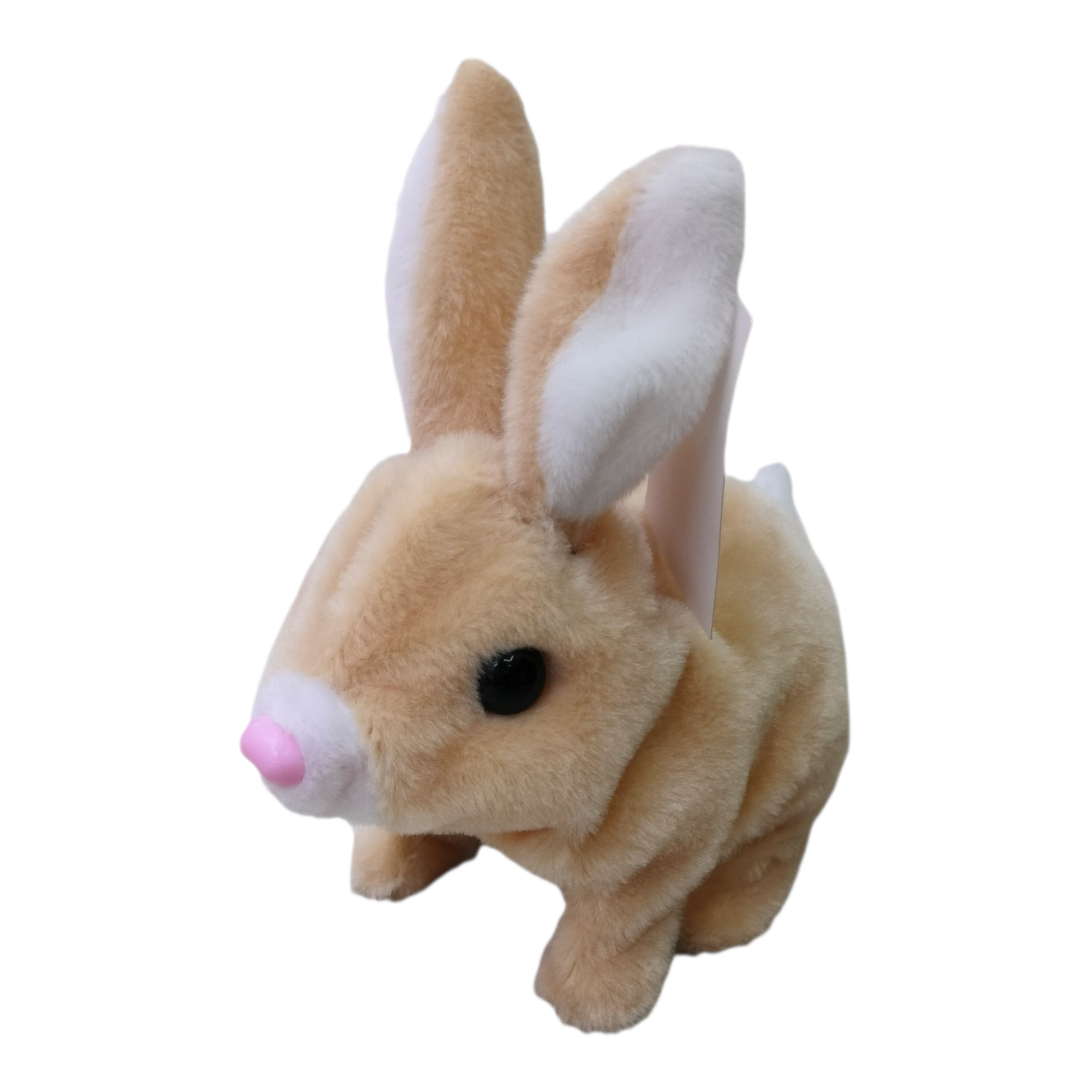 Conejo corto — 7601