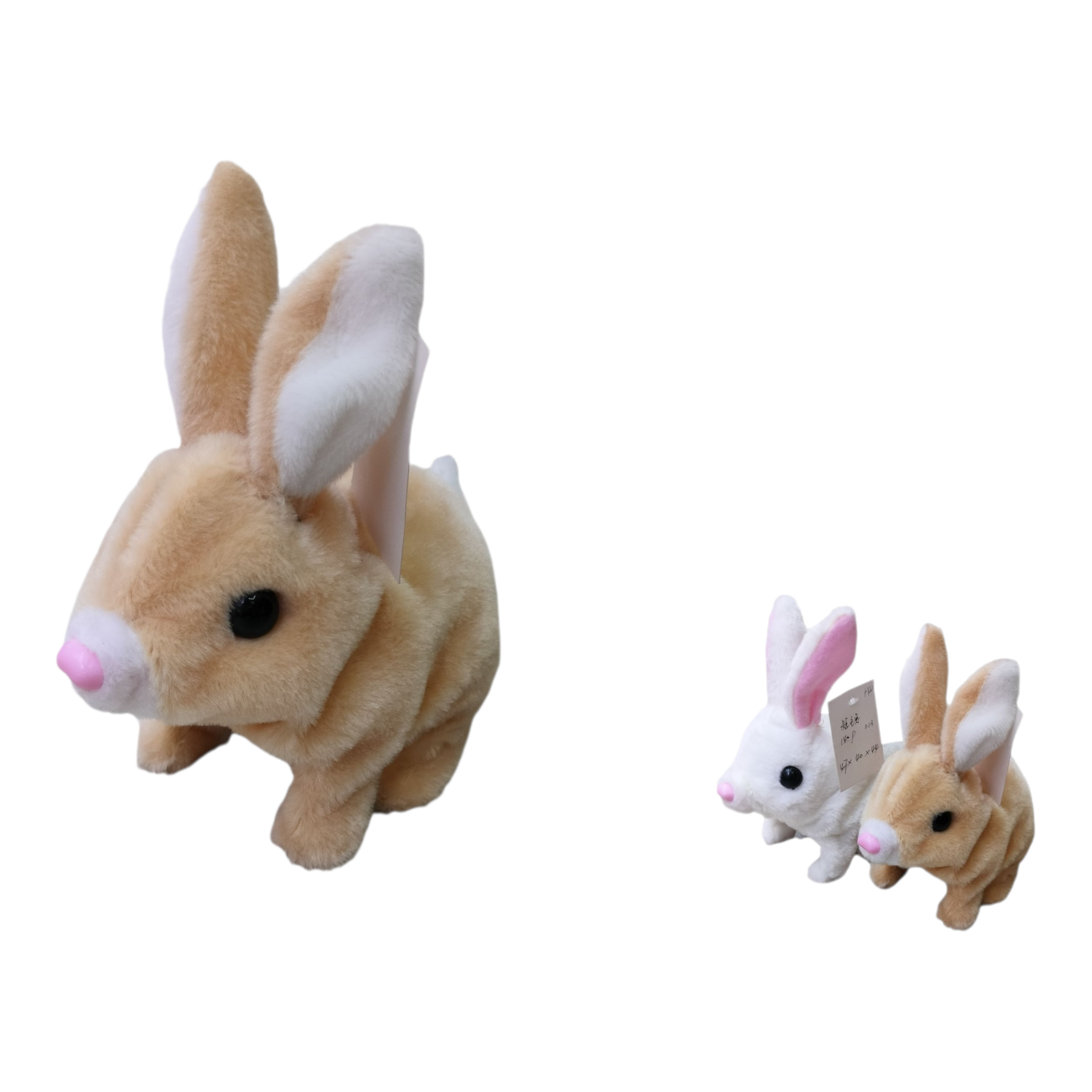 Conejo corto — 7601