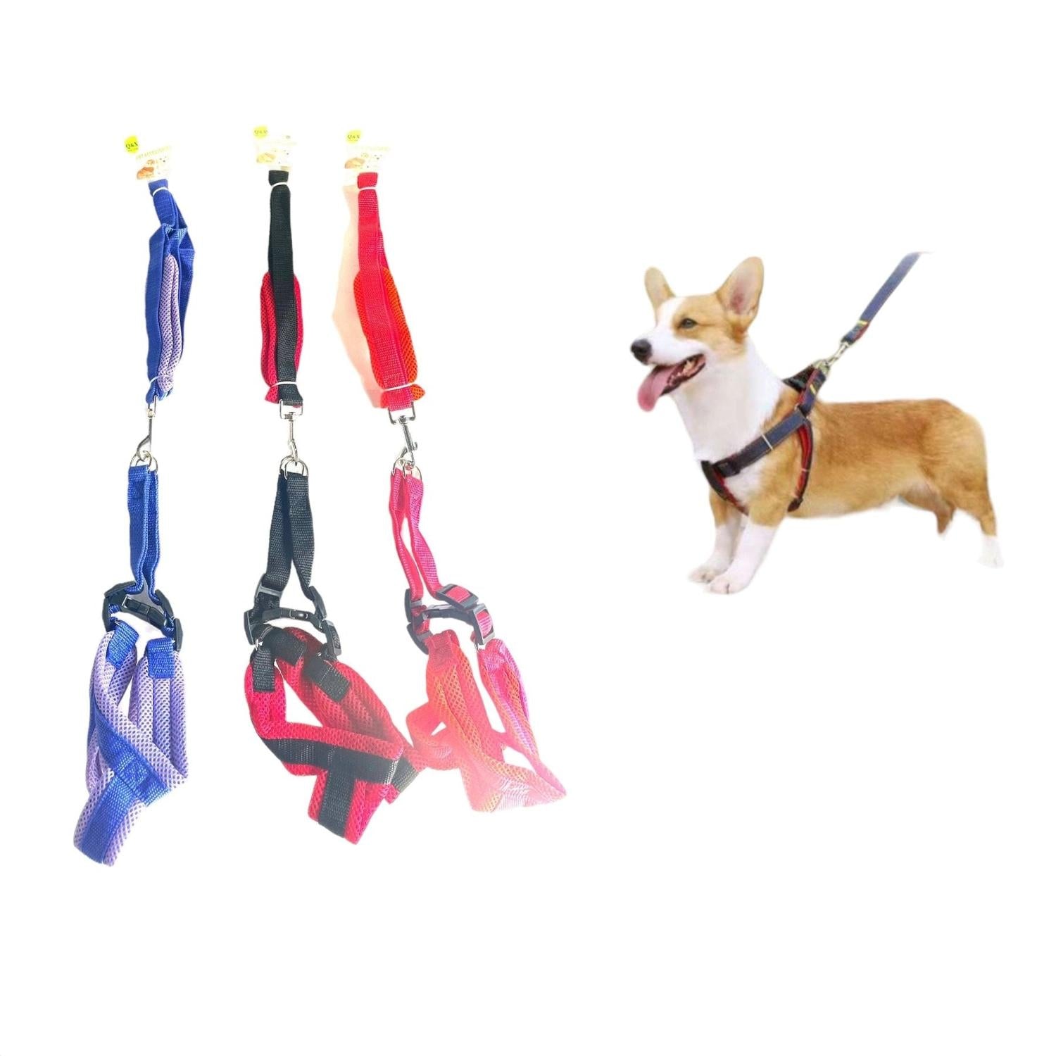 Material Espuma Pecho Y Espalda 2.0Pp