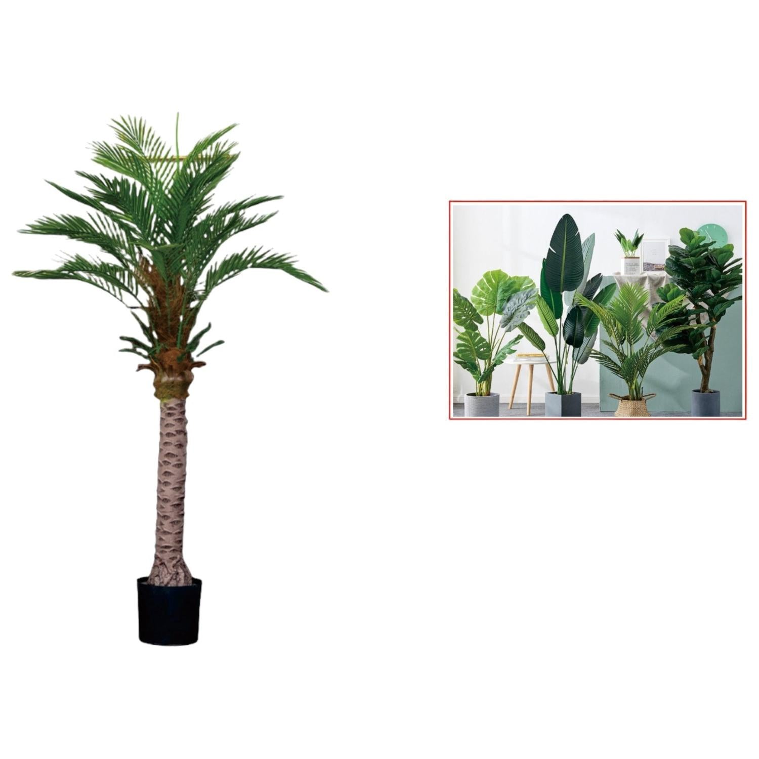 jpg_1500x1500_62955953