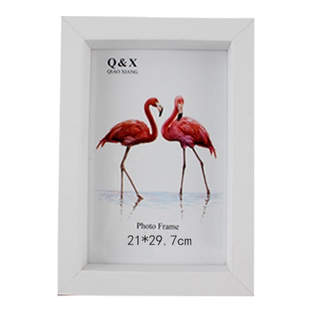 Marco Fotografico Qiaoxiang Modelo 728 - A4 21x29,7 cm