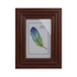 Marcos Fotograficos Modelo 417 de 30x40cm 528404-Marrn