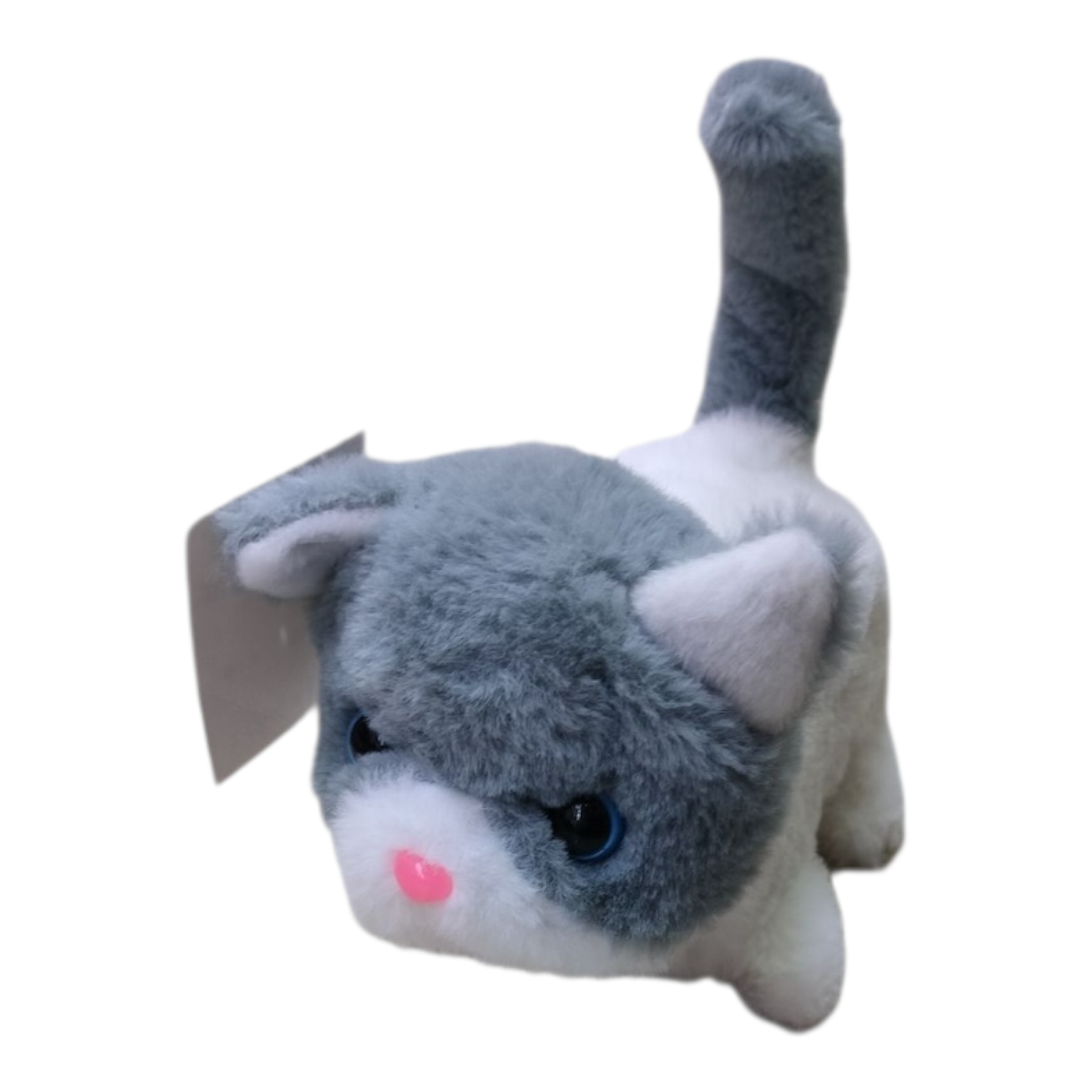 Gato conejito — Musica y Camina