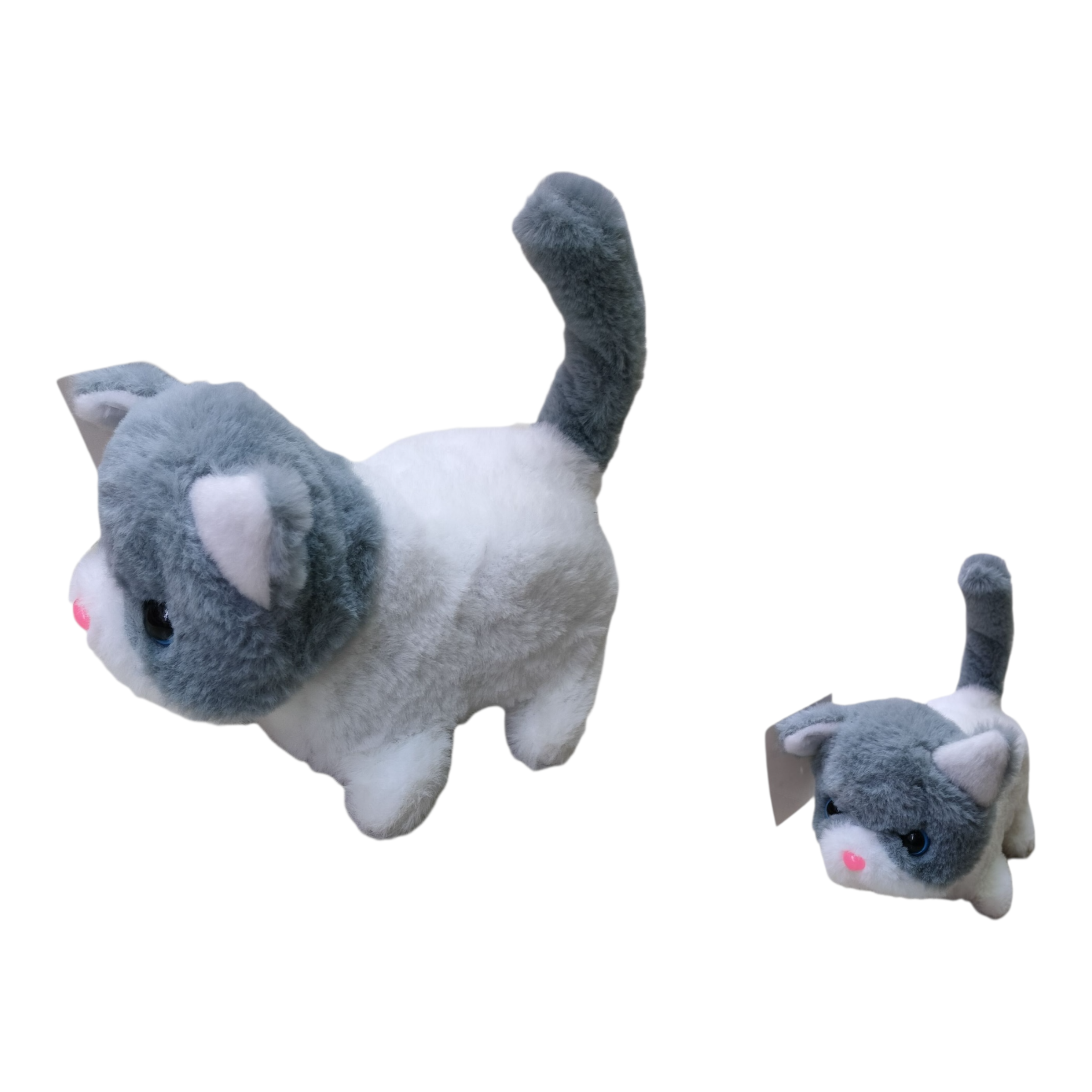 Gato conejito — Musica y Camina