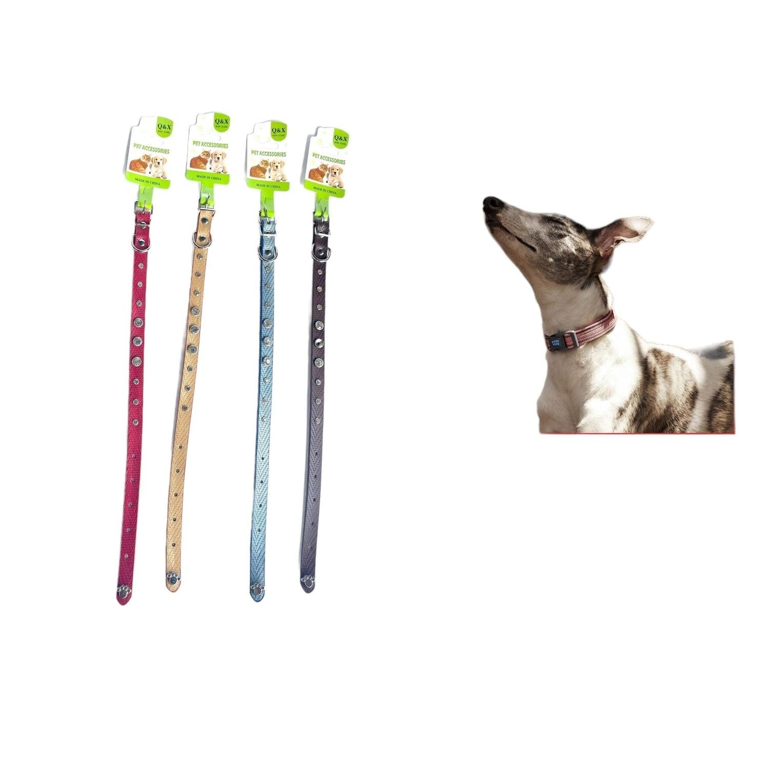 Collar De Diamante Tama?o Huella De Cola 1.5