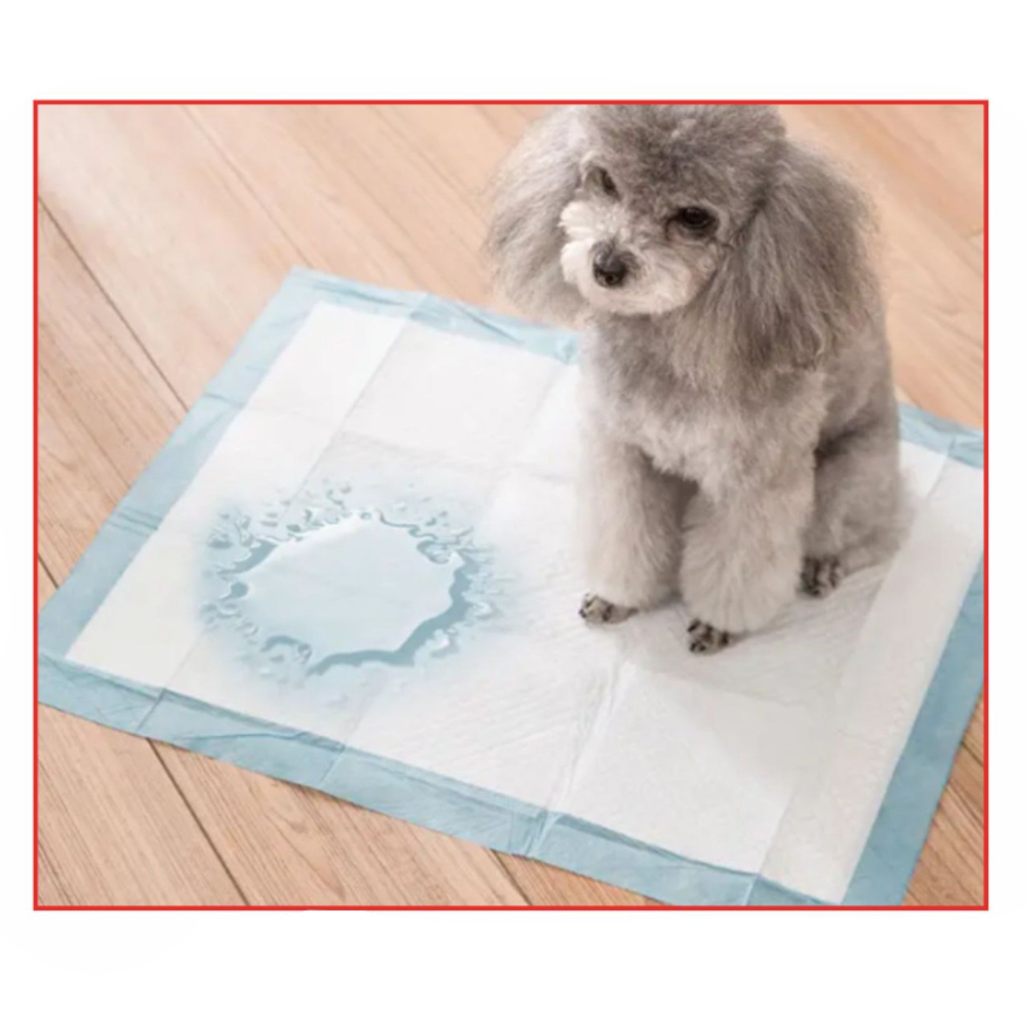 Almohadillas de orina para Mascotas 33x45cm - Paquete 20 Unidades (Q&X)