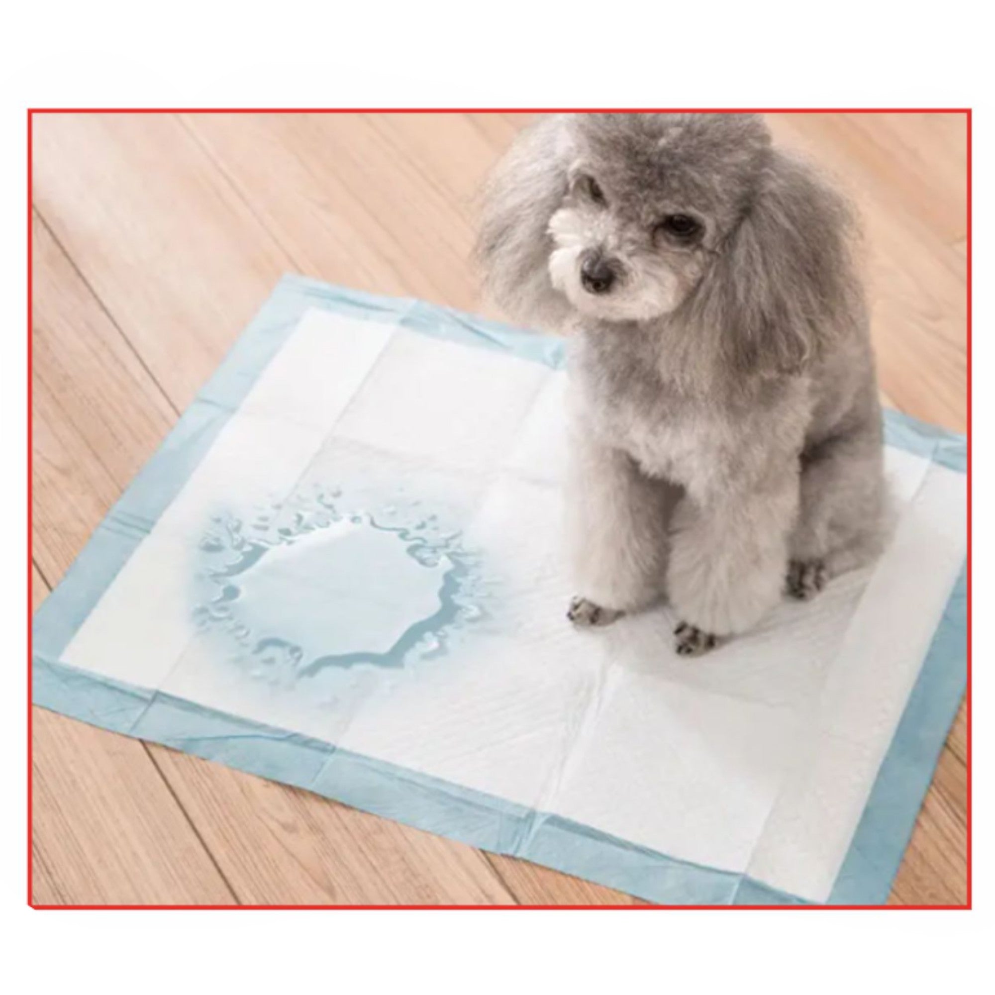 Almohadillas de orina para Mascotas  60x60cm - Paquete 10 Unidades (Q&X)