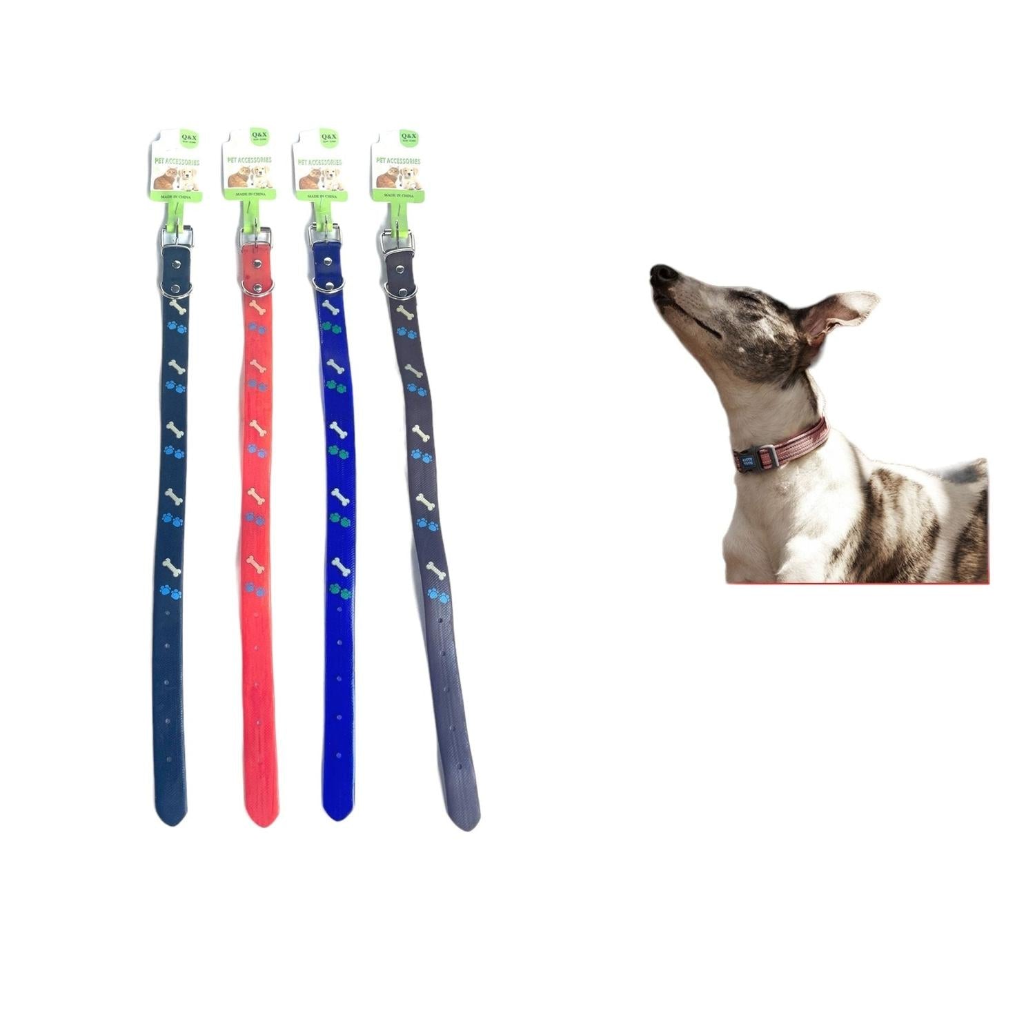 Collar Huella Hueso Estampado 2.5 Pvc