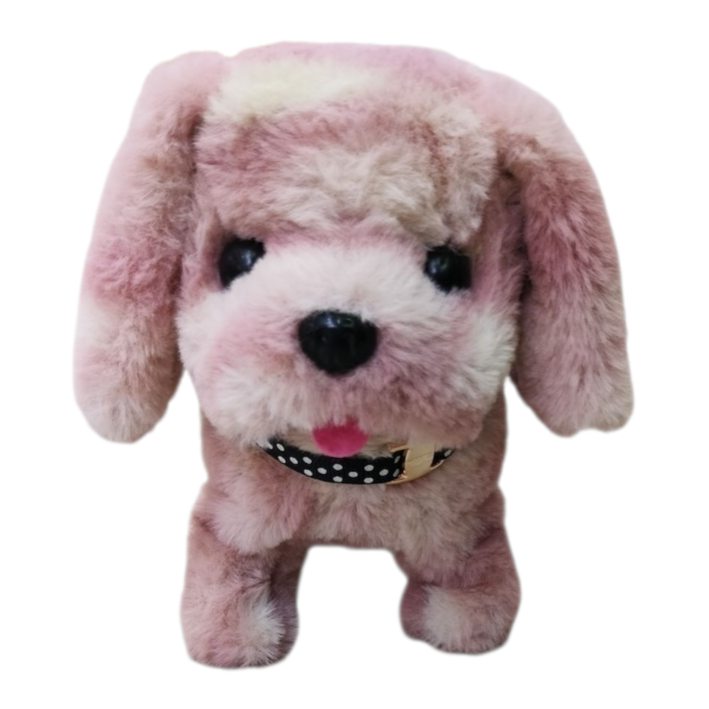 Perro cabeza grande con Musical