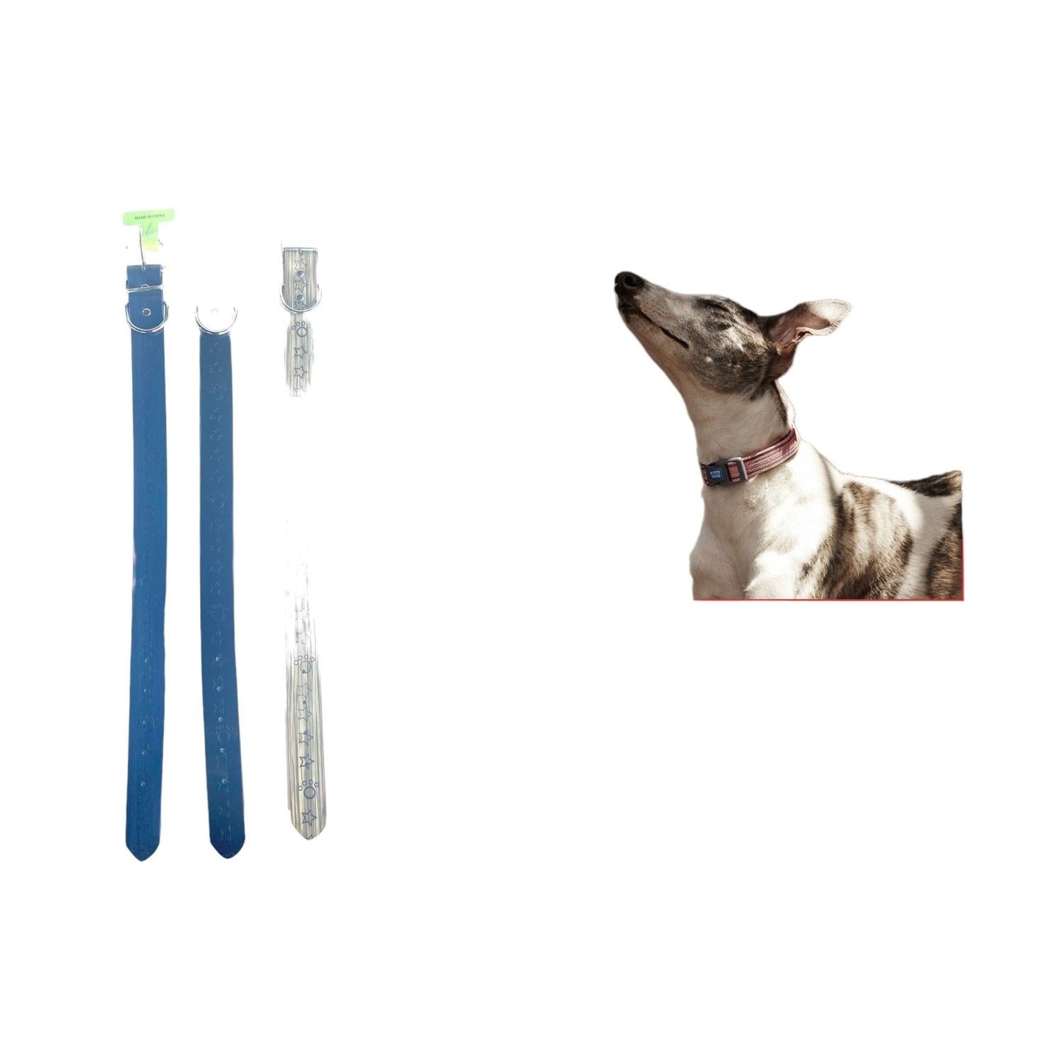 Correa Para Perros Y Gatos Con Estrella De Cinco Puntas Estampada En Caliente 2.5