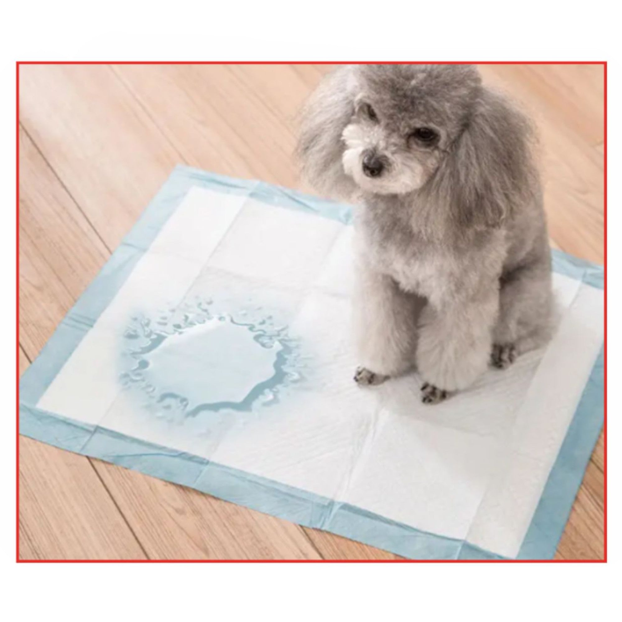 Almohadillas de Entrenamiento para Mascotas 60x90cm - Paquete 10 Unidades (Q&X) - Formato Jumbo