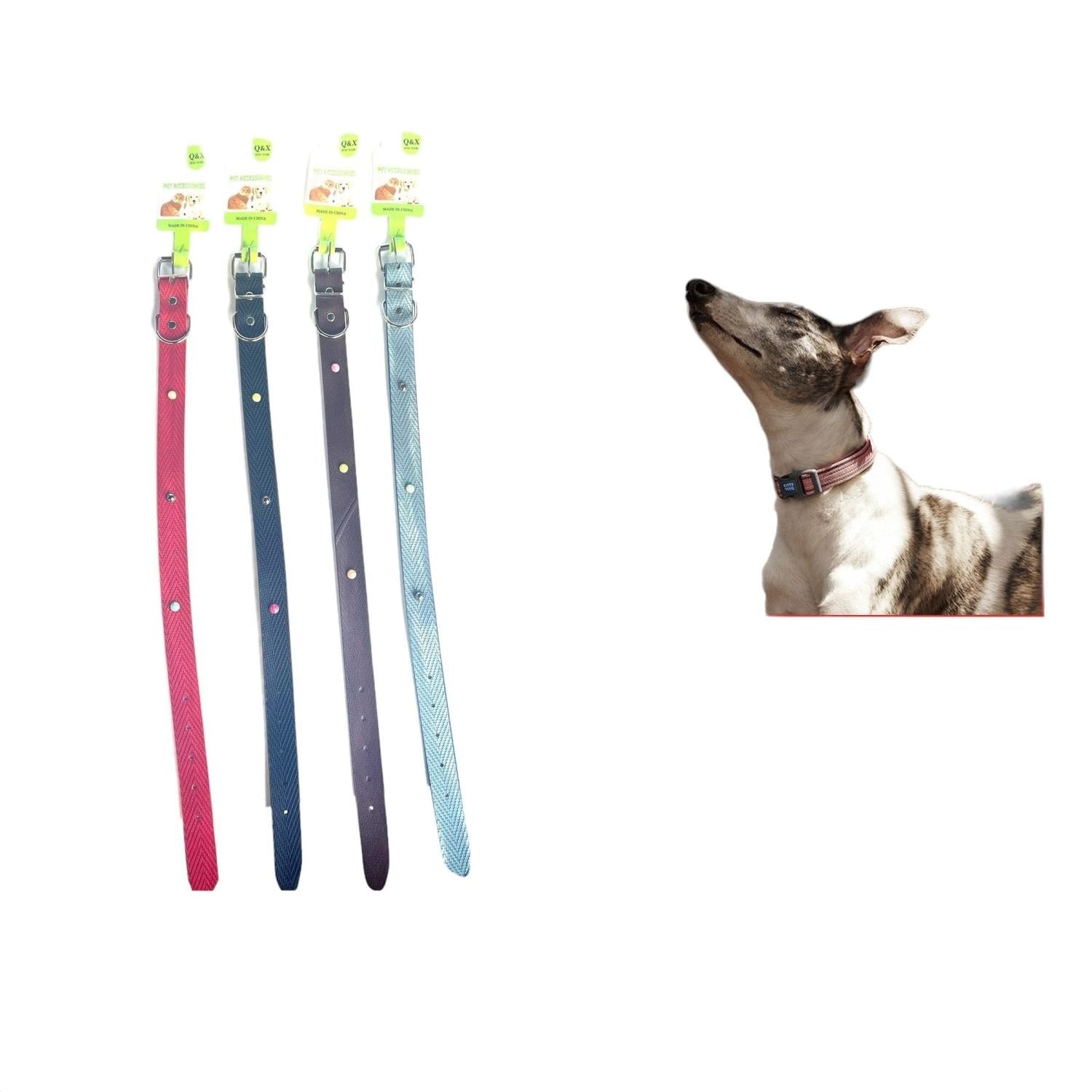 Collar Hongo Colorido 2.5