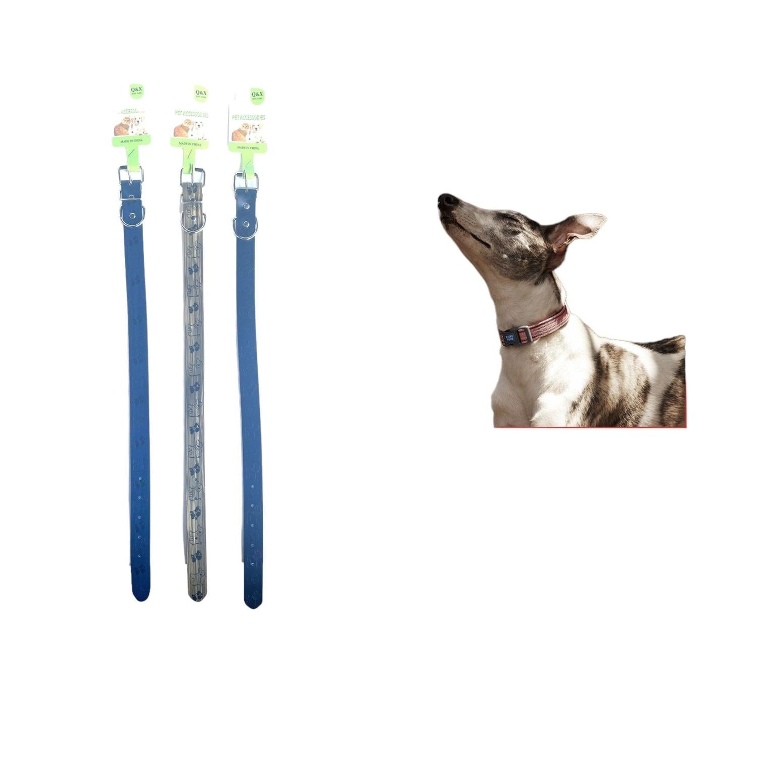 Correa Para Perros Y Gatos Con Estampado En Caliente 2.5