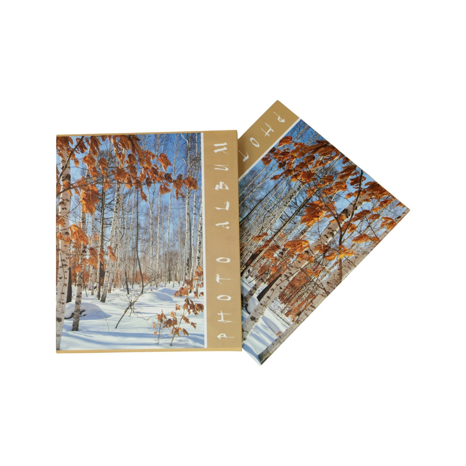 Álbum De Fotos paisajes otoño e invierno,  80 Fotos 4x6(10x15Cm)