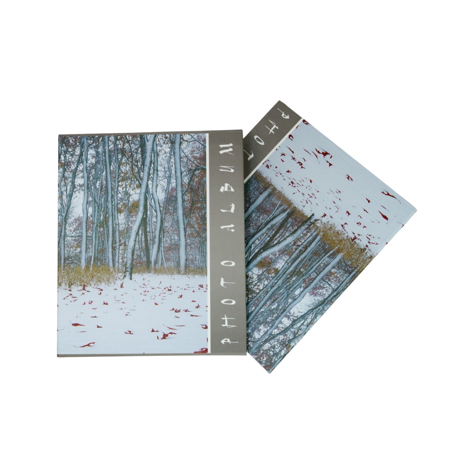 Álbum De Fotos paisajes otoño e invierno,  80 Fotos 4x6(10x15Cm)