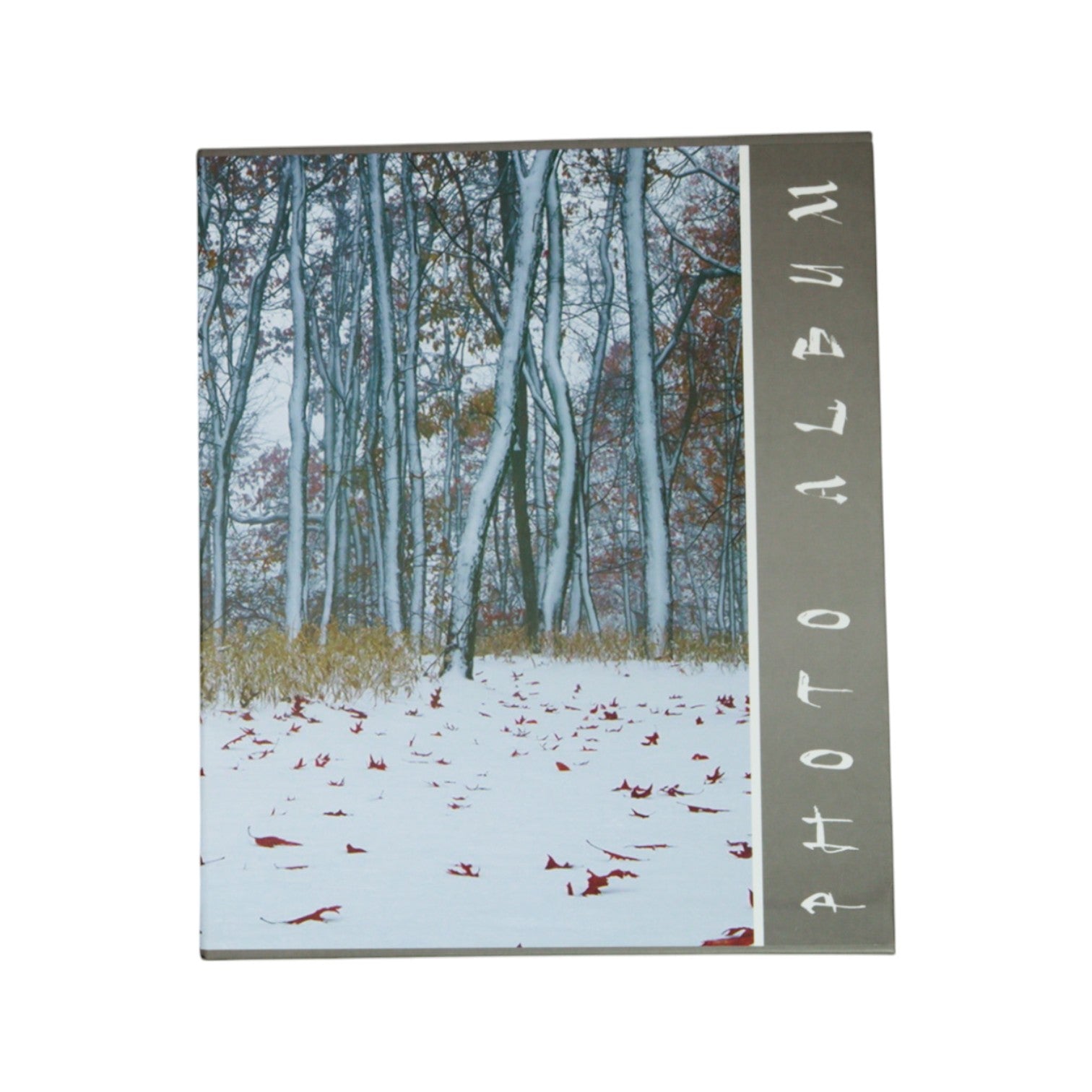 Álbum De Fotos paisajes otoño e invierno,  80 Fotos 4x6(10x15Cm)
