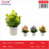 Decoración floral margarita pintada modelo NQ-0514