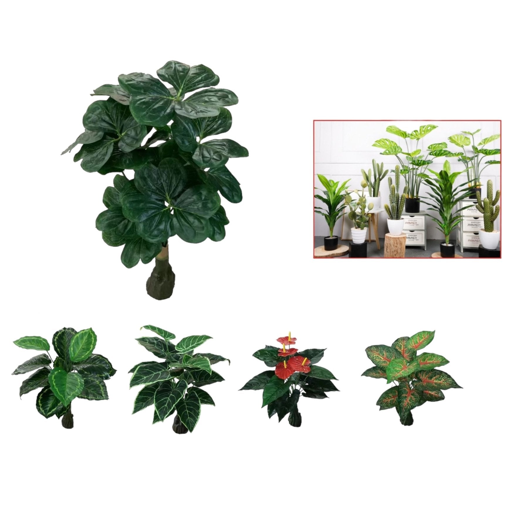 Anthurium 18 Cabezas Modelo Mixto 75Cm Con Fondo - Q&X