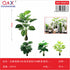 Planta artificial monstera 18 hojas 75 cm con base