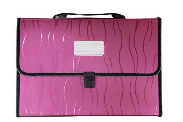 Archivador Acordeón A4 con Asa y Cierre – Estilo Ejecutivo