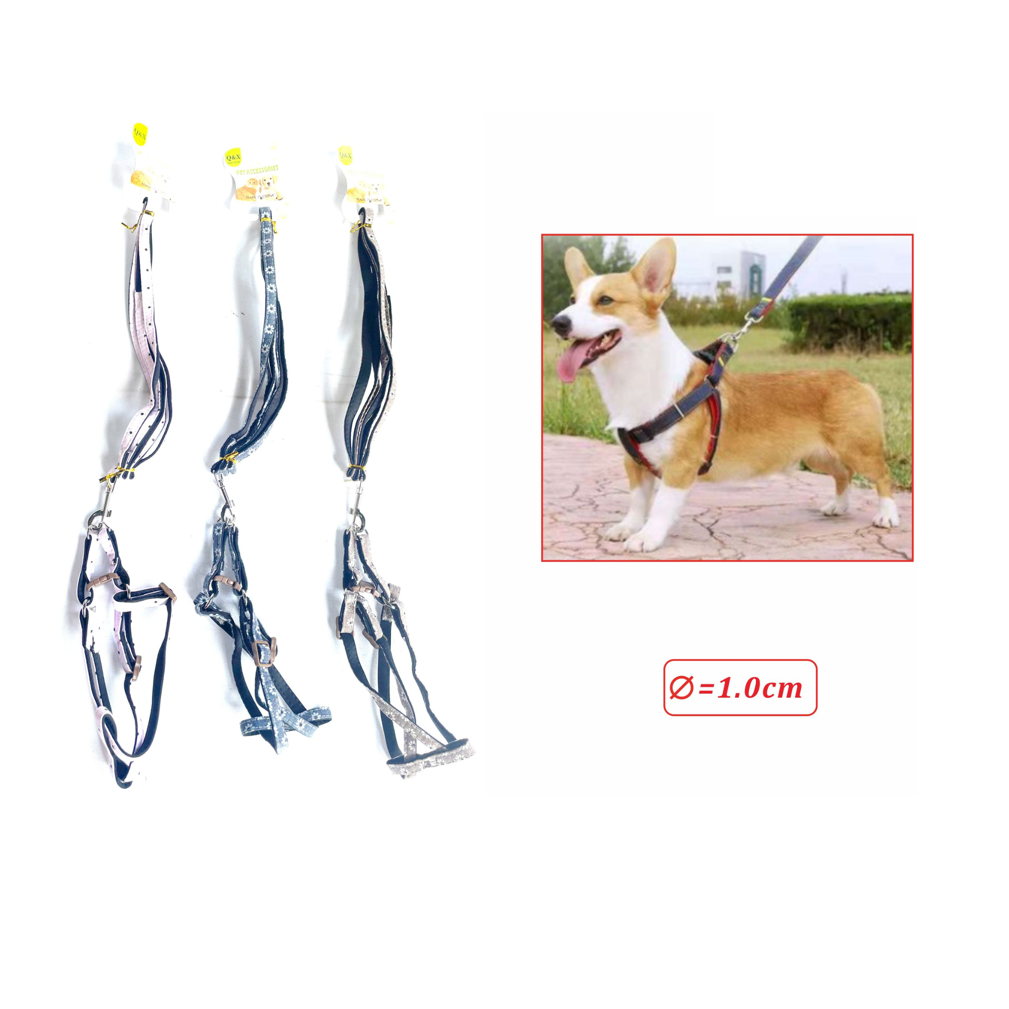 Arnés para Perro Q&X