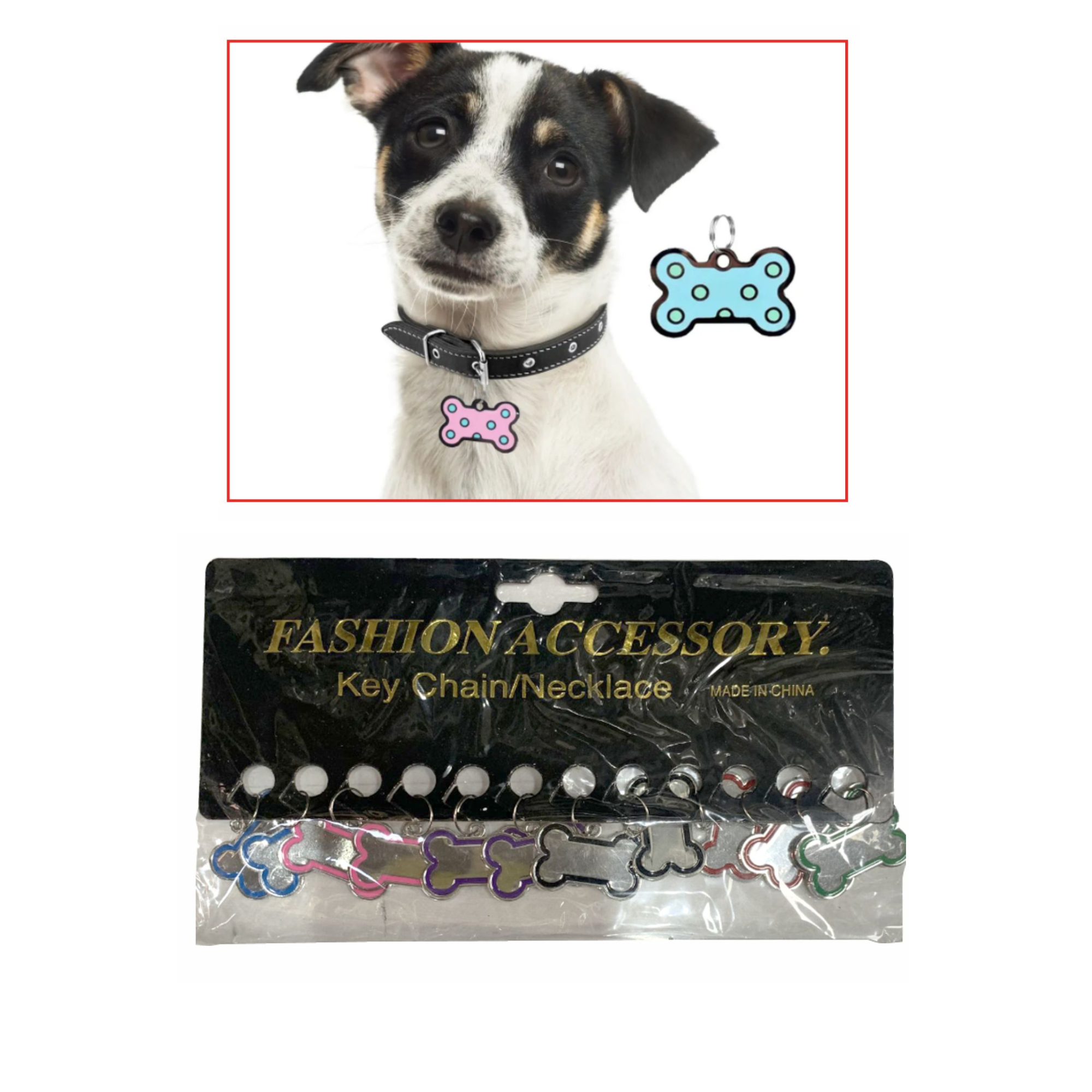 Placa para Perro en Forma de Hueso - Set de 12 Piezas