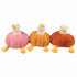 Peluche de Pato con Cuerpo de Calabaza - 25 cm
