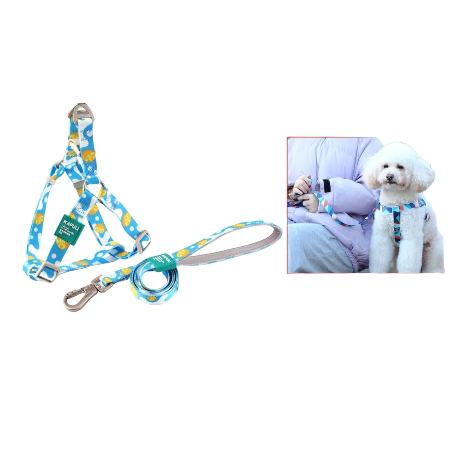 Arn¨¦s De Correa 2.5