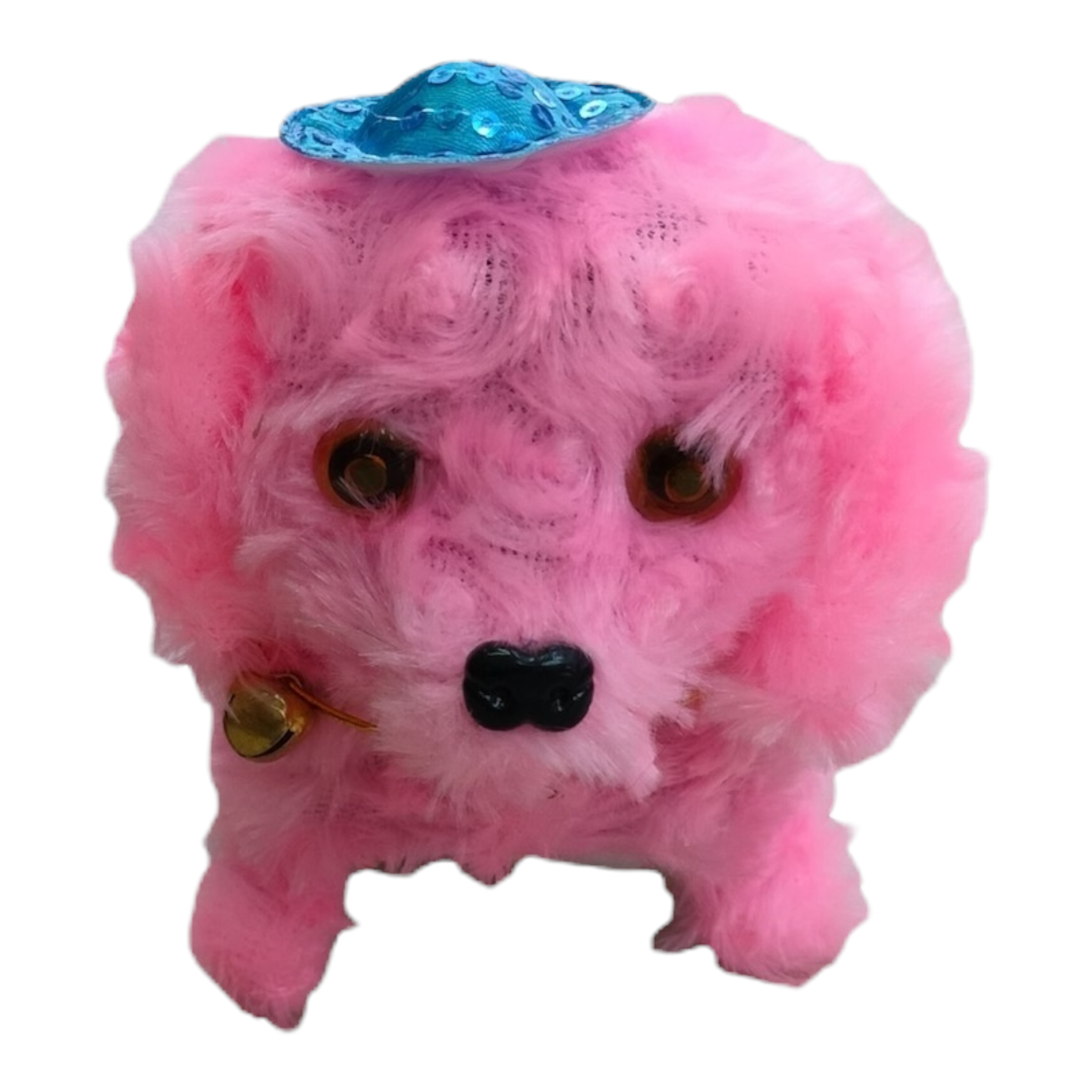 Perro con gorro — Musical y Camina