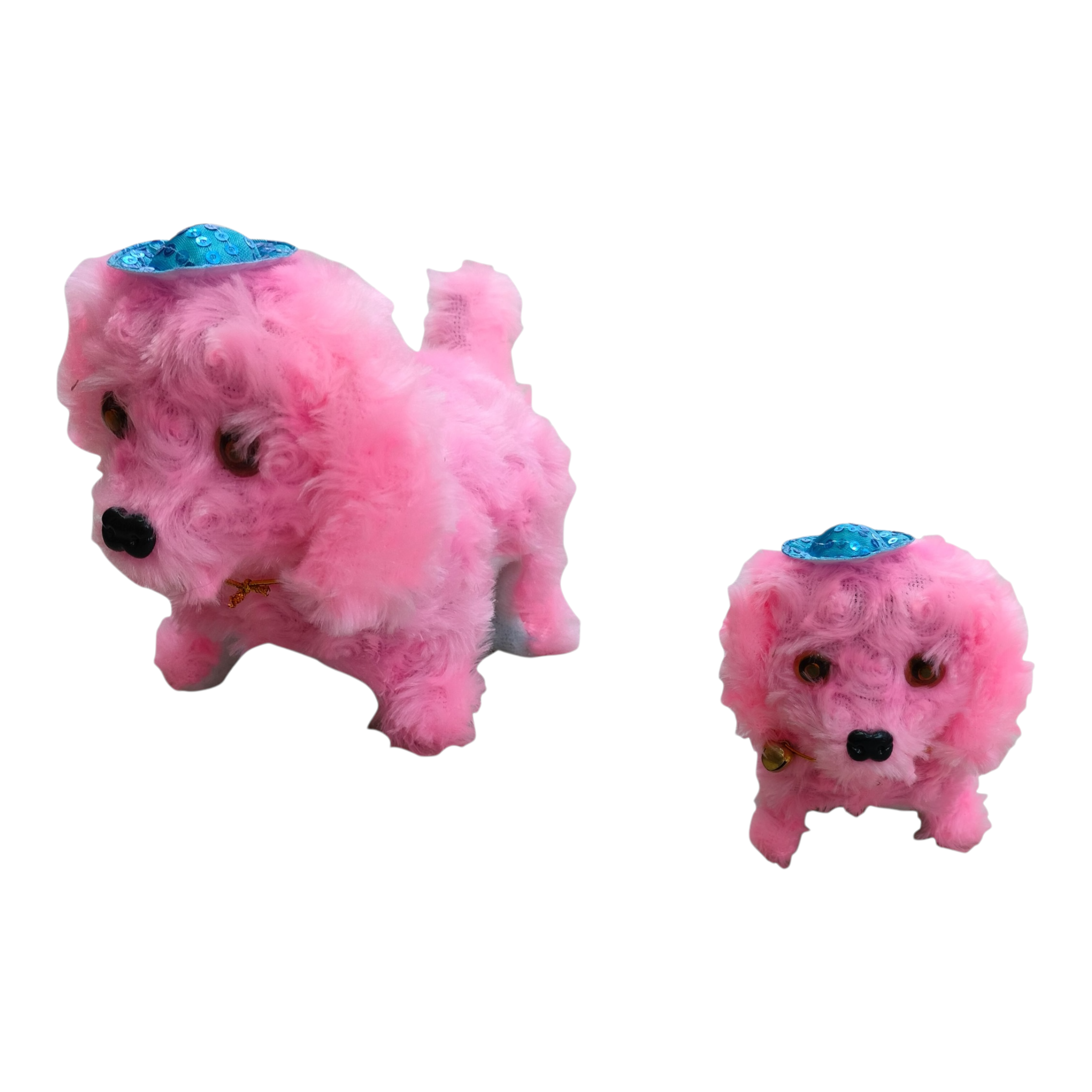 Perro con gorro — Musical y Camina