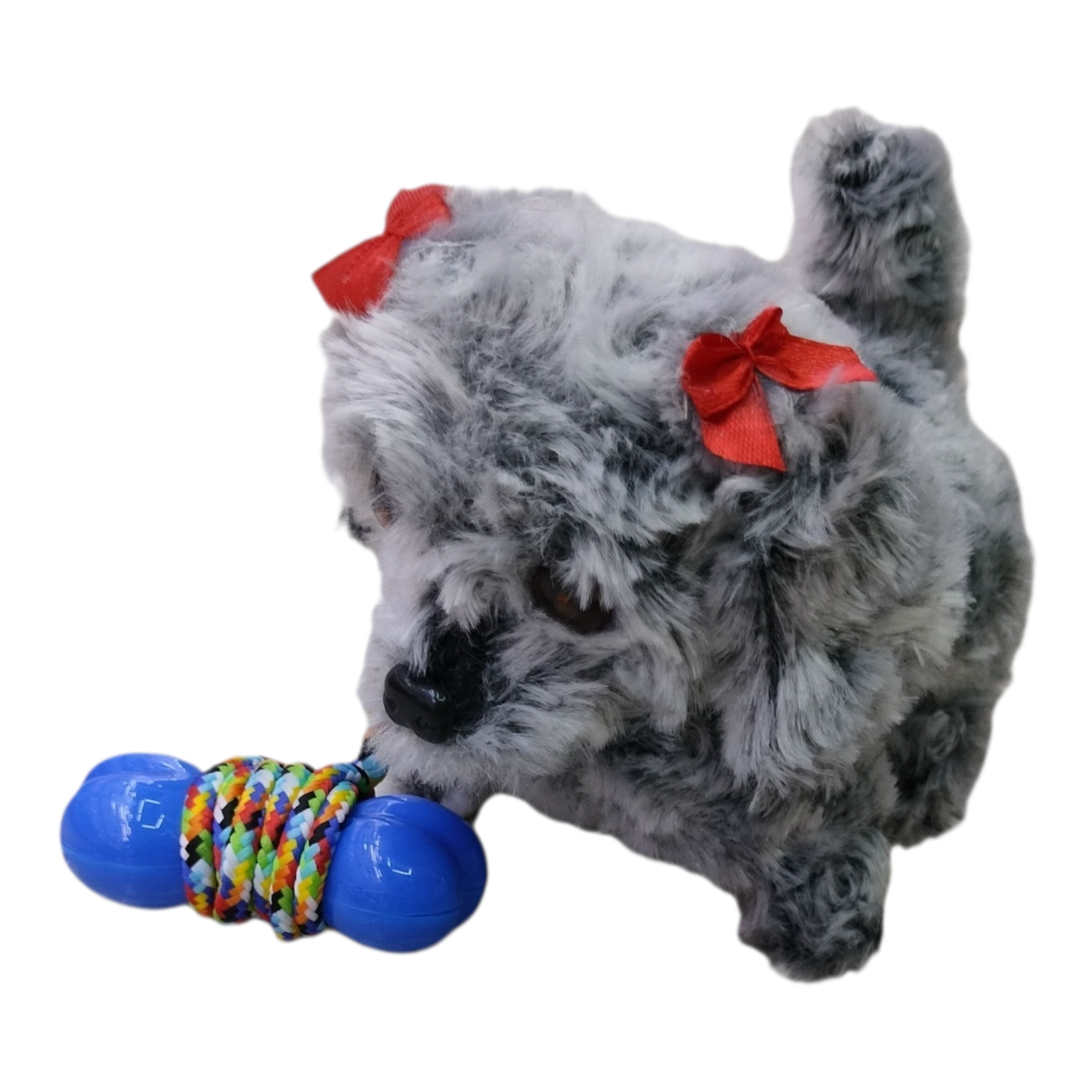 Perro y hueso — Musical y Camina