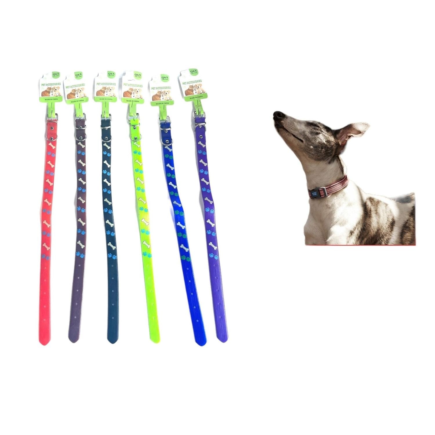 Collar Huella Hueso Estampado 2.0 Pvc