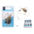 Kit HD608 Pesca 70g | Qiaoxiang