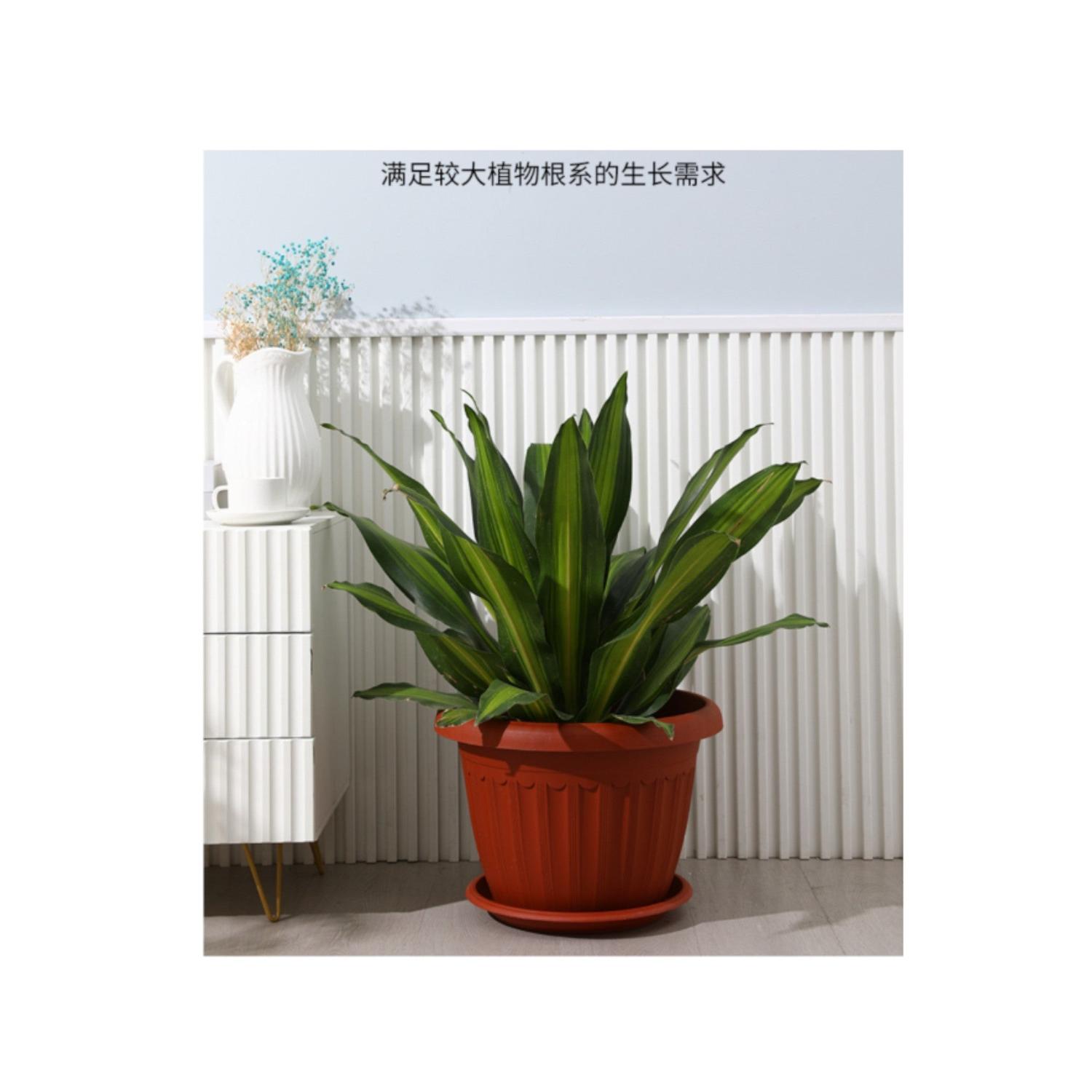 jpg_1500x1500_62704401