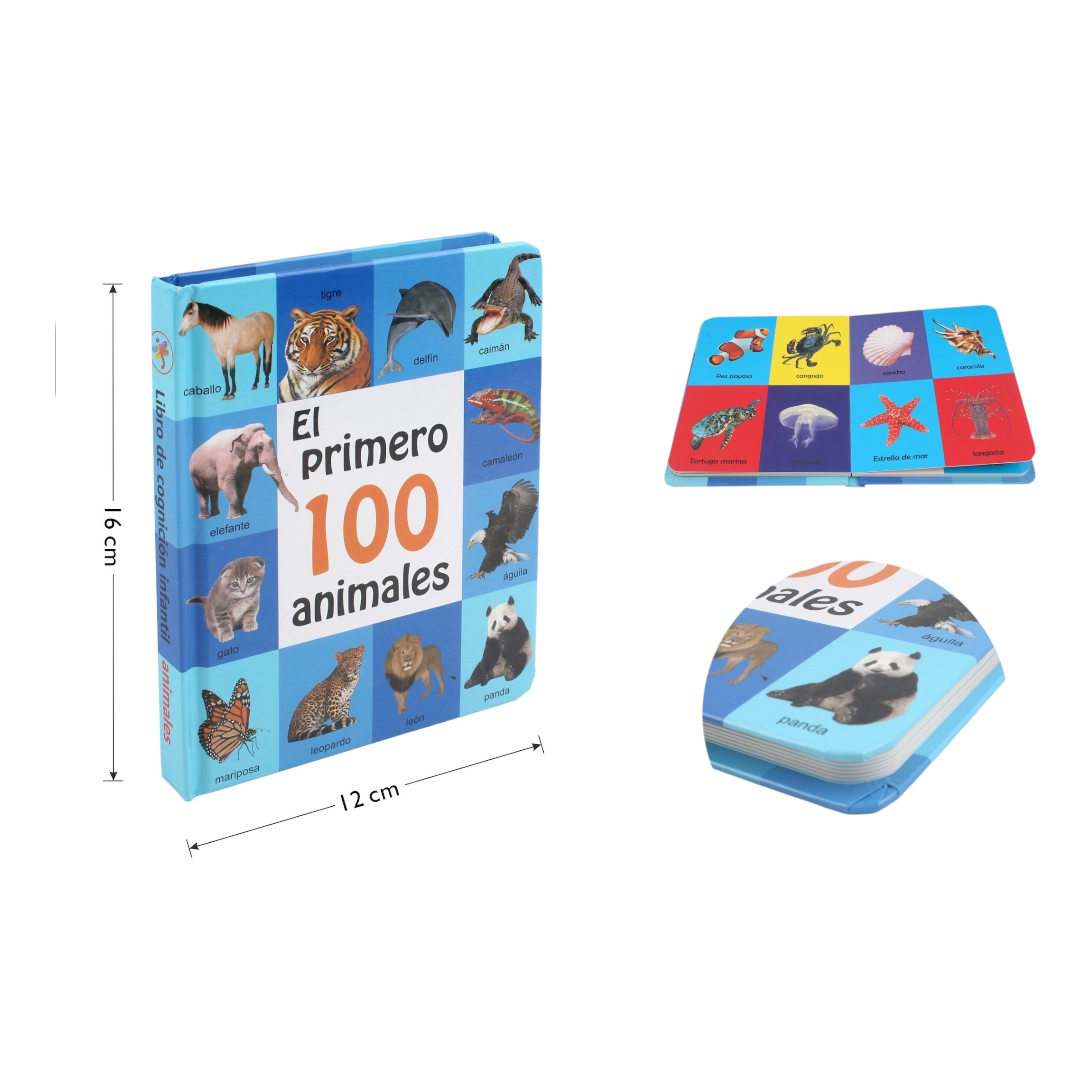 Cuaderno Educativo Básico – Actividades Iniciales