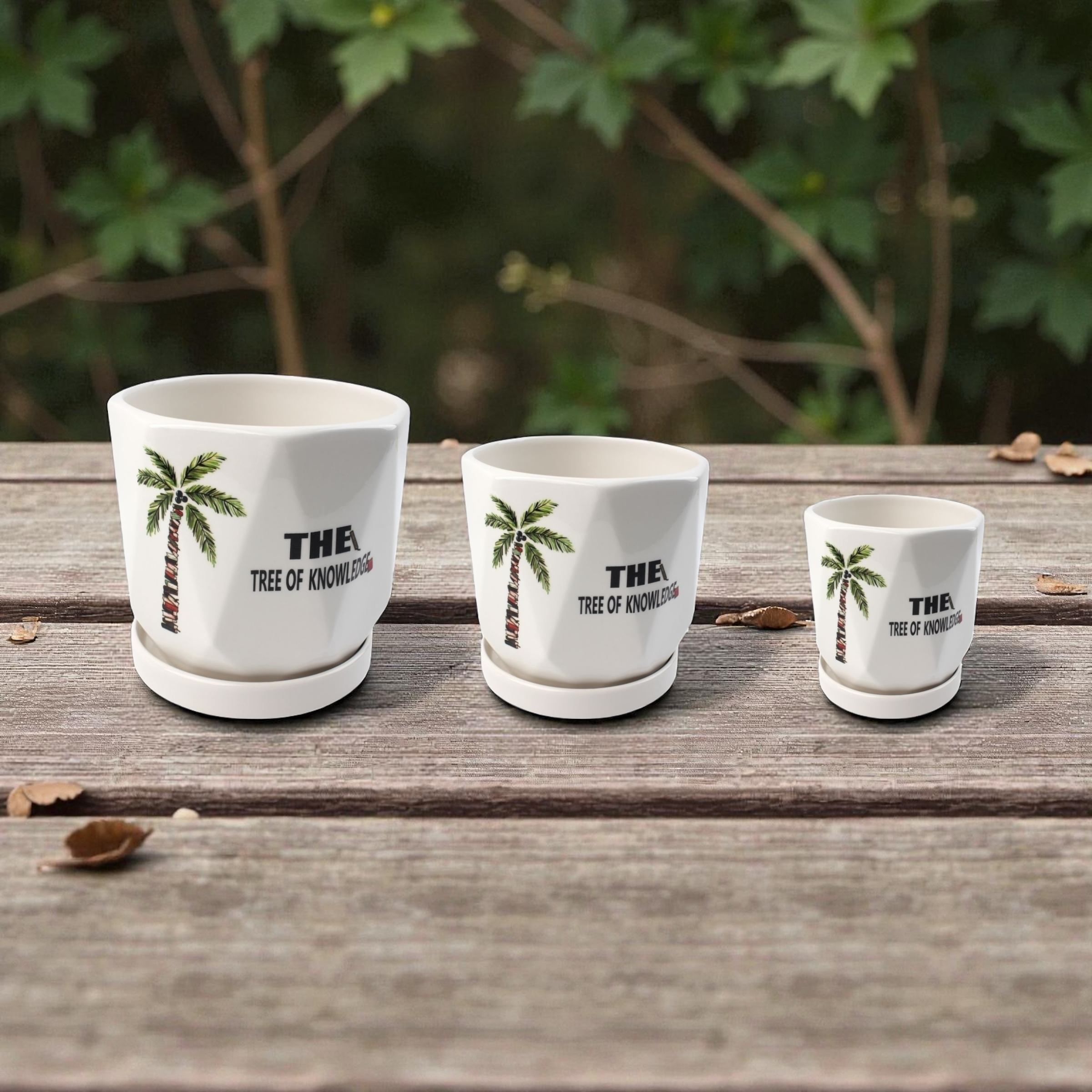 Macetero cerámico TX70040A9455 set decorativo para el hogar